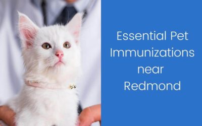 Essential Pet Immunizations near Redmond