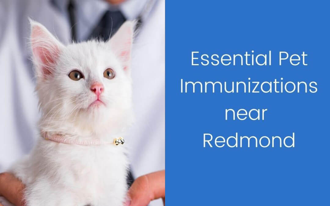 Pet Immunizations