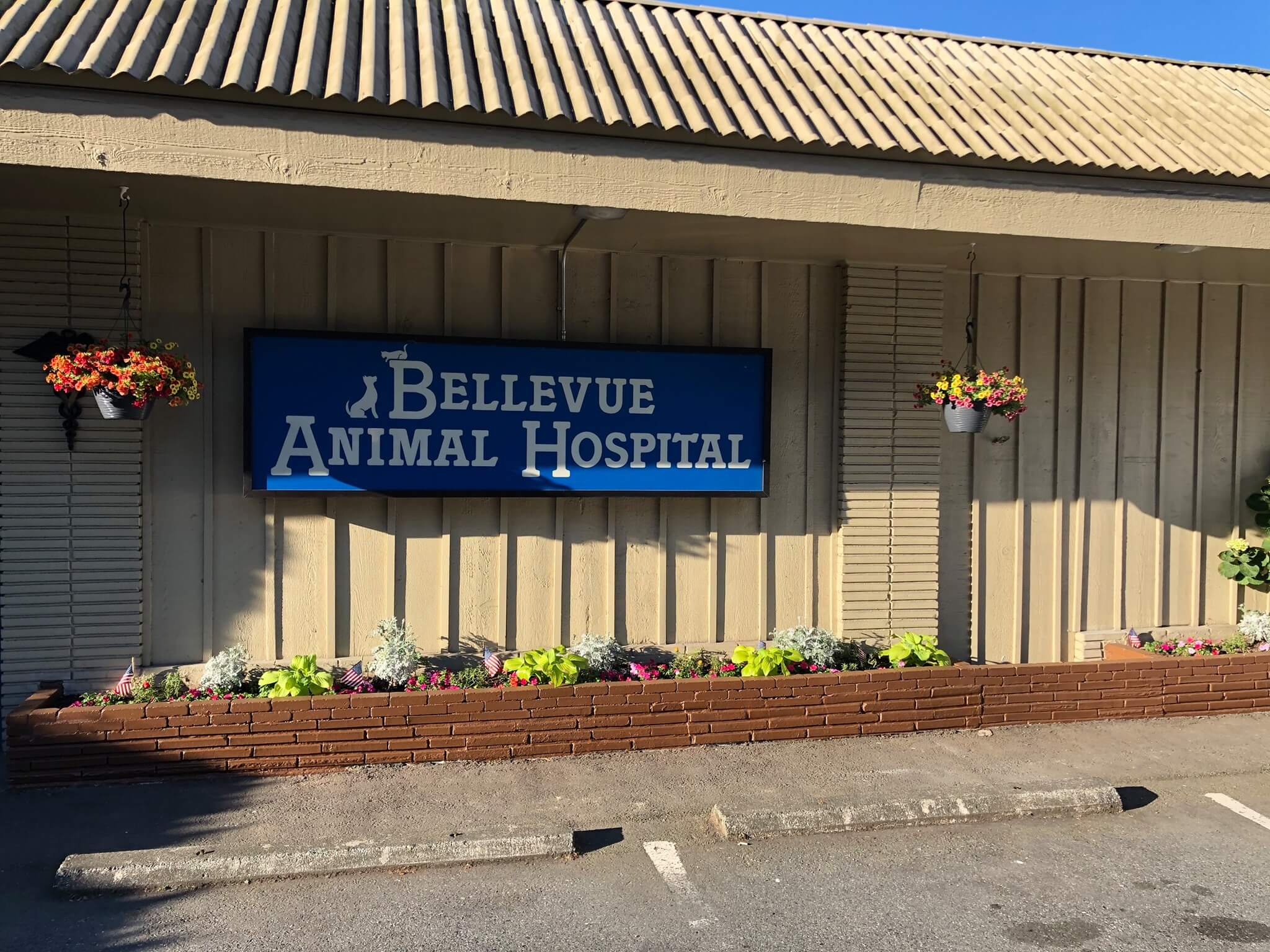 Bellevue Animal Hospital sign