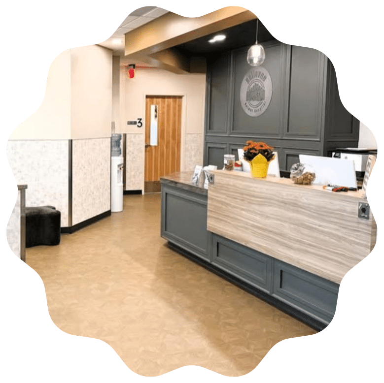 A reception area featuring a large desk and several chairs