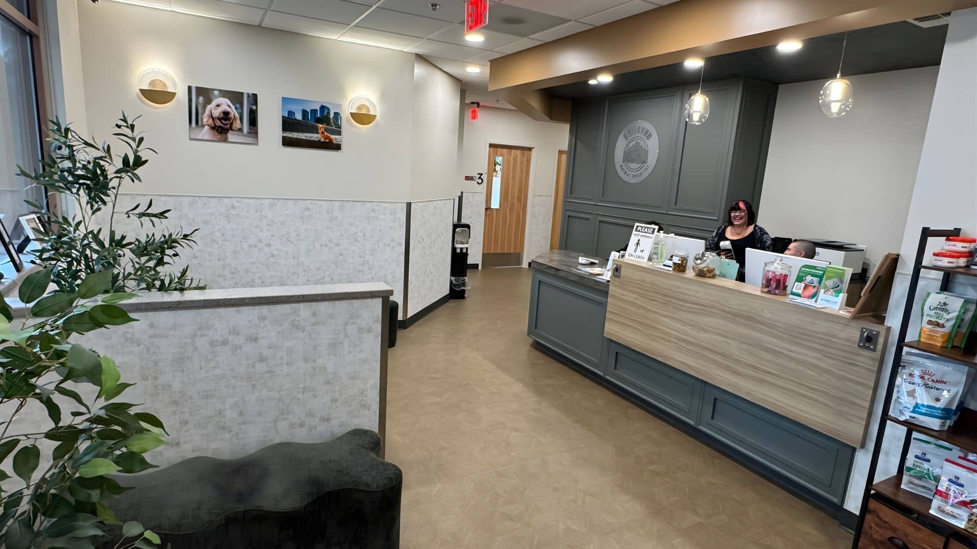 Bellevue Animal Hospital sign